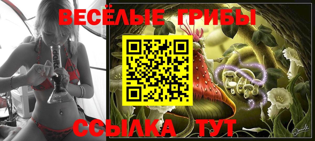 Галлюциногенные грибы прущие грибы Белогорск